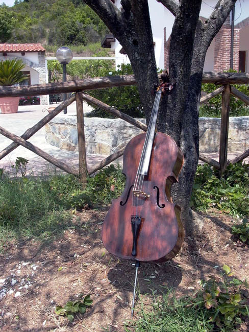 Violoncello