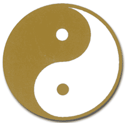 energia femminile  e maschile