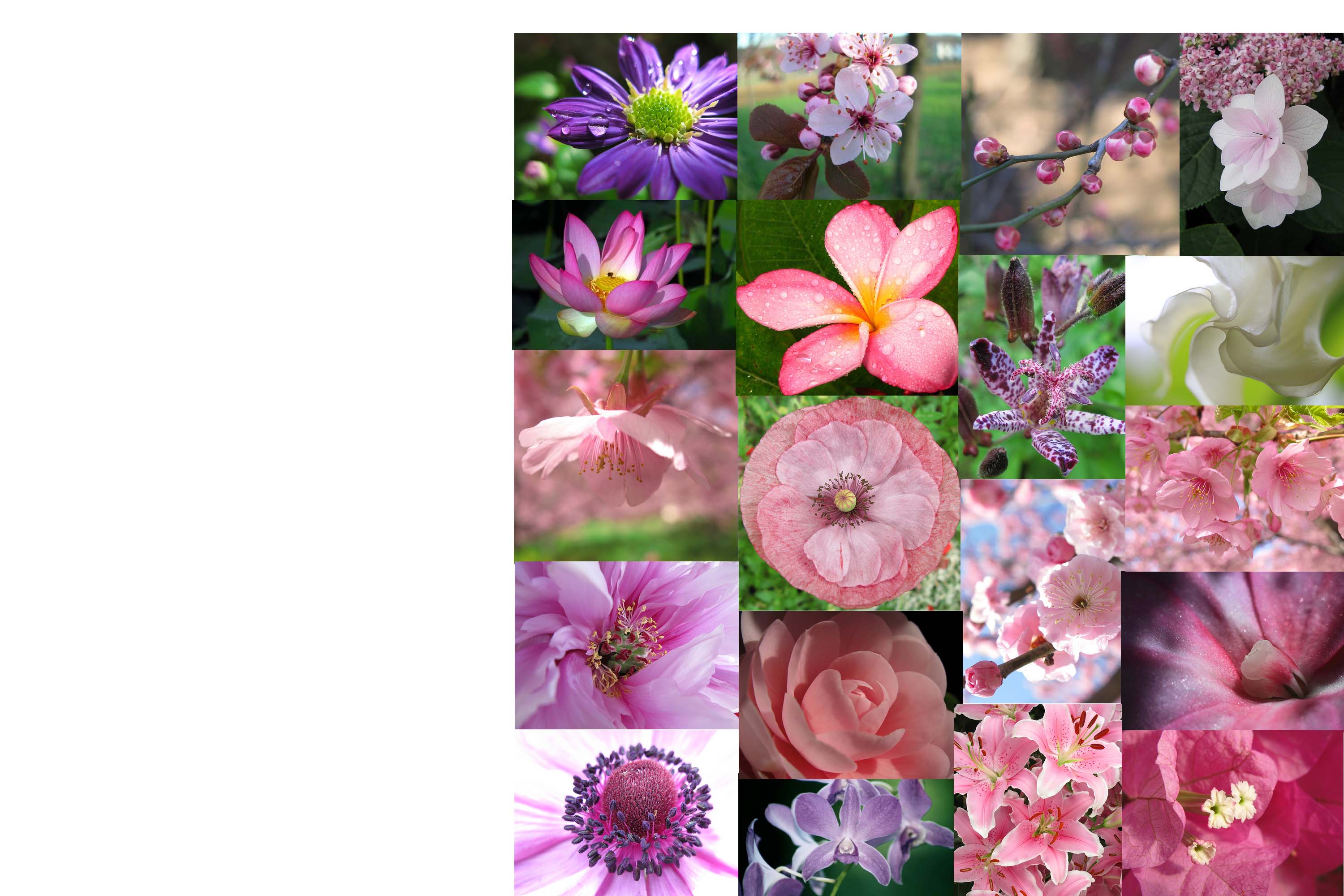 Senza titolo-1 copia