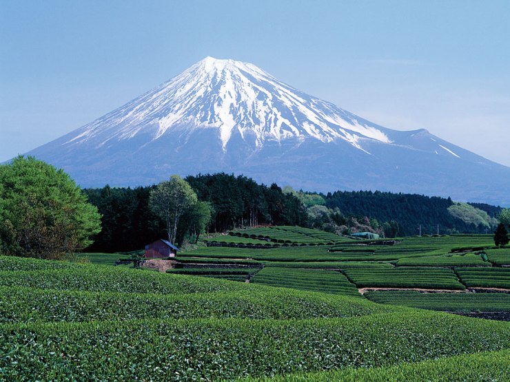 fuji-mount