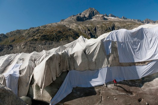 NGS Picture Id:1589978