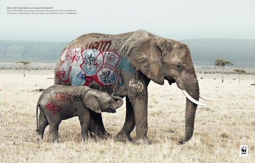 elephant1 wwf