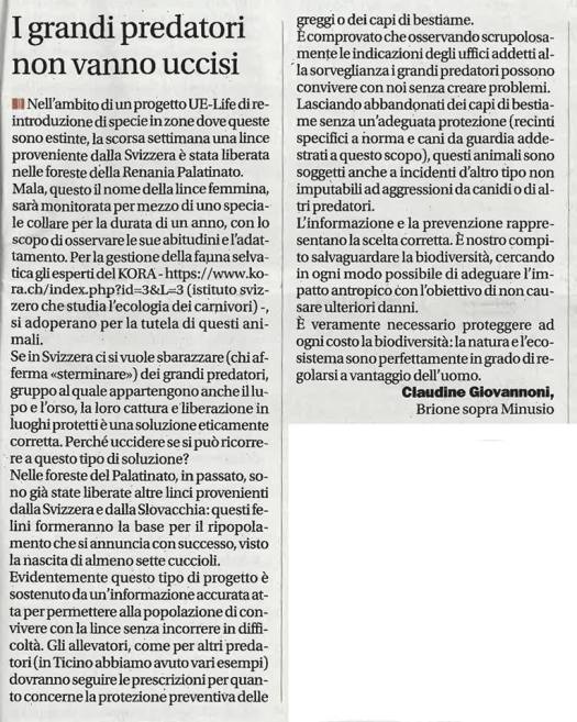 52561493_354469945148281_3988058665423732736_n