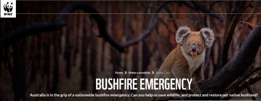 Bushfire_Emergency_Australia