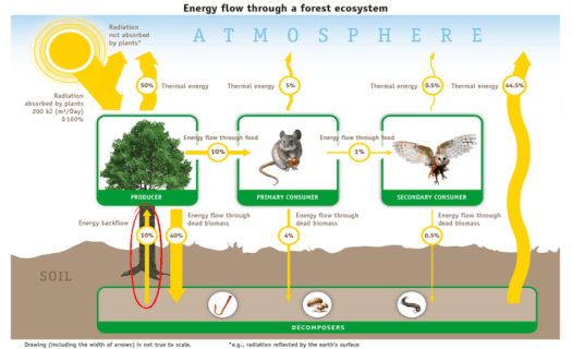 Energy-flow