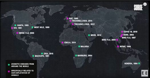 Earthmap of zoonotic diseases